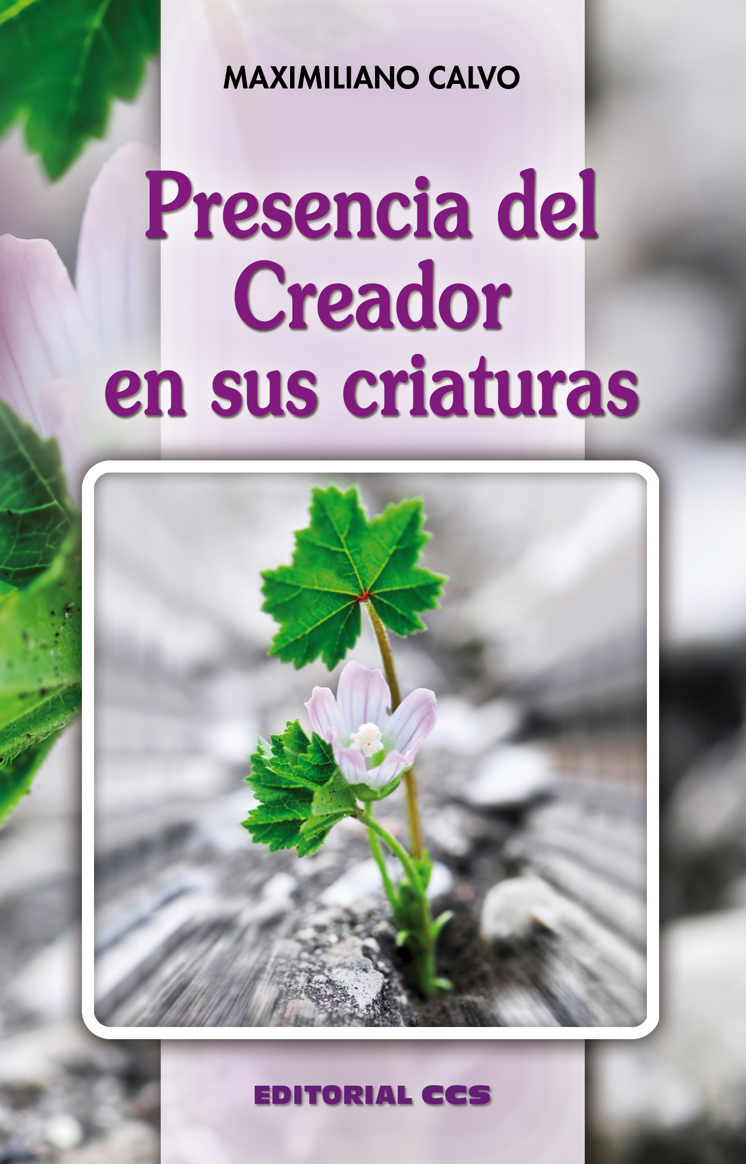 Presencia del Creador en sus criaturas