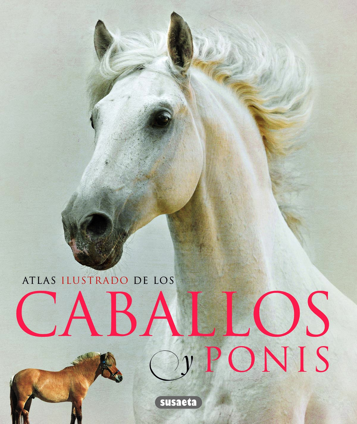Caballos y ponis