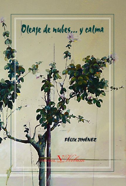 Oleaje de nubes... y calma