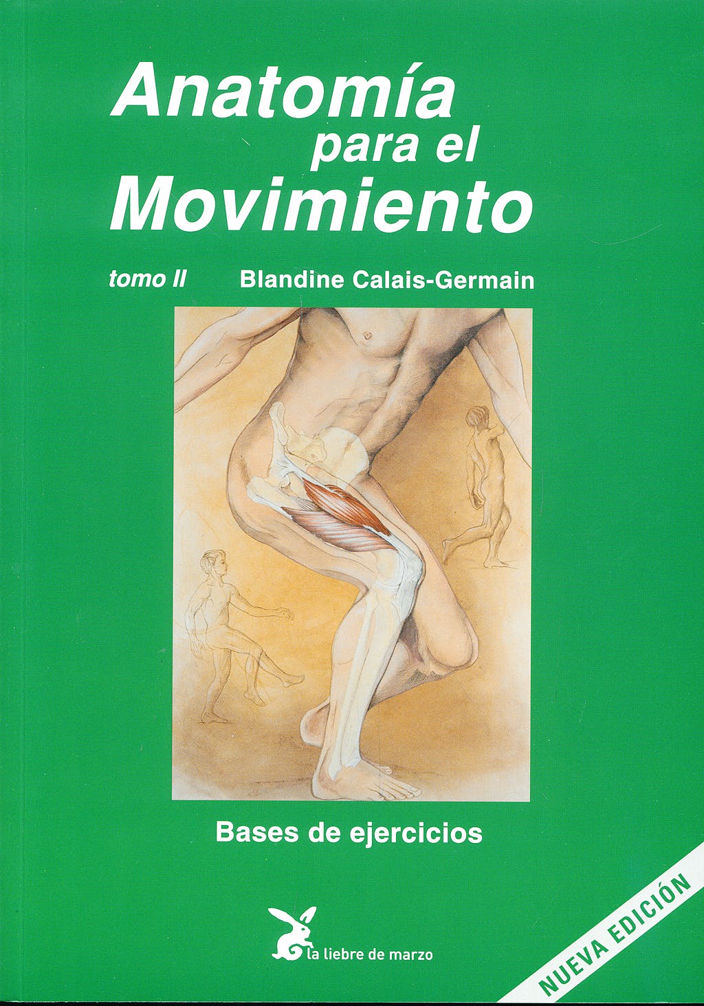 Anatomía para el movimiento tomo II