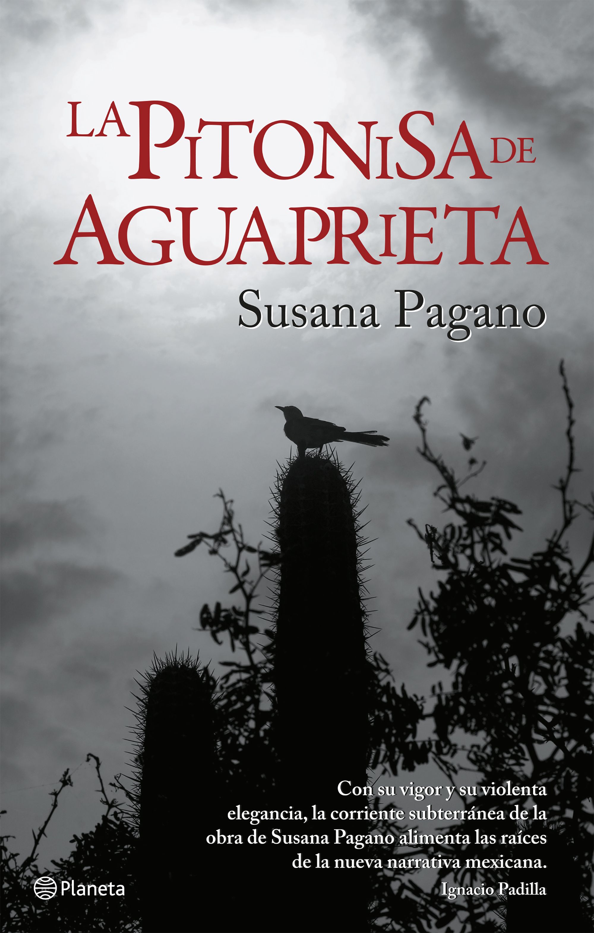La pitonisa de Aguaprieta