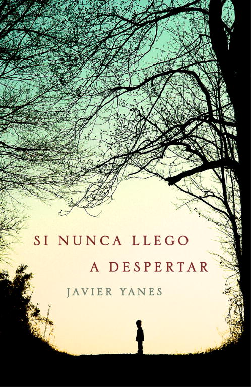 Si nunca llego a despertar