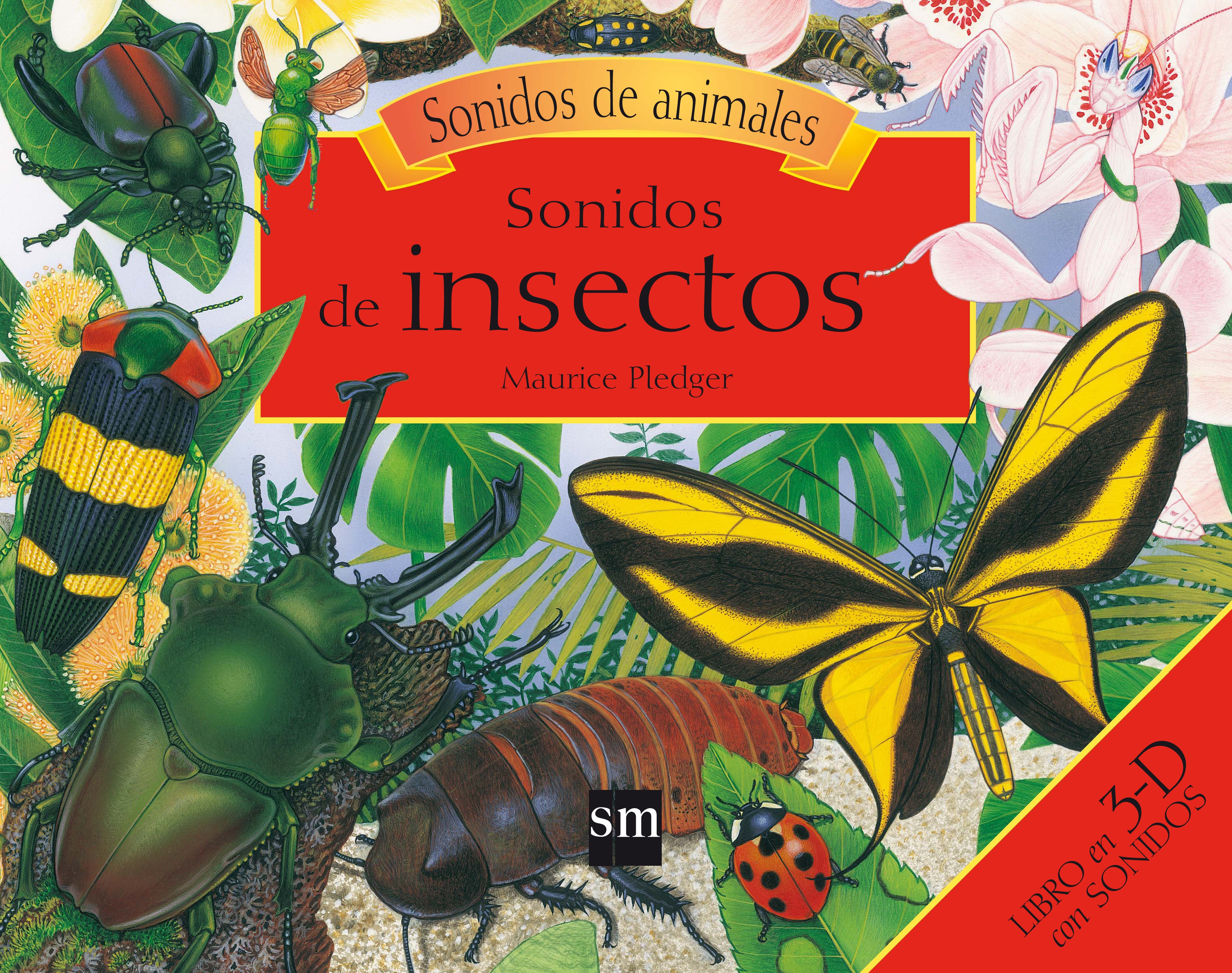 Sonidos de insectos