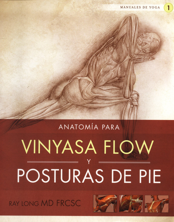 Anatomía para vinyasa flow y posturas de pie