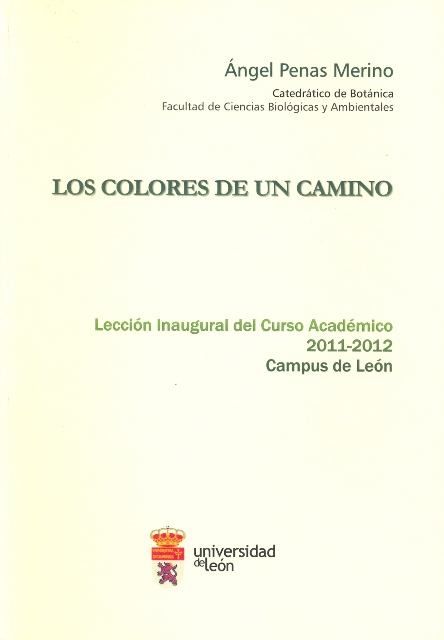 Los colores de un camino