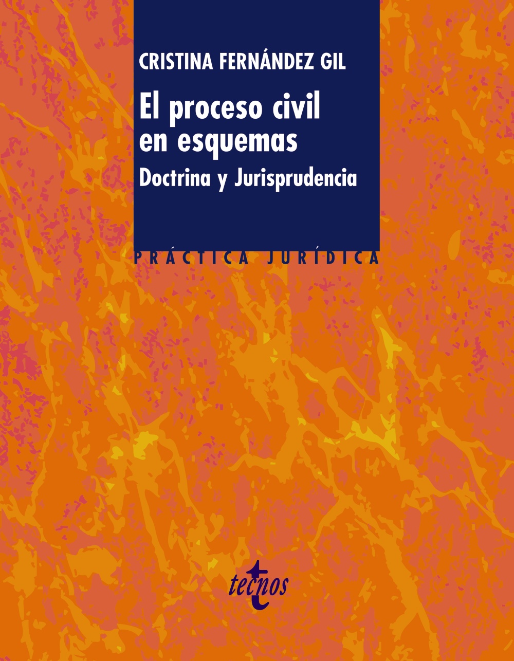 El proceso civil en esquemas