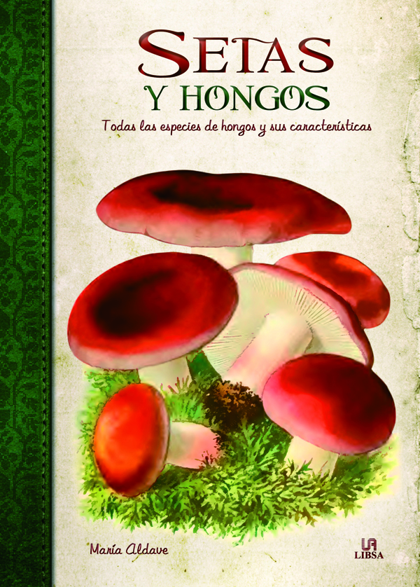 Setas y Hongos