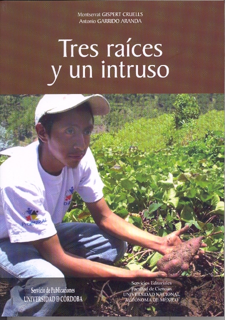 Tres raíces y un intruso