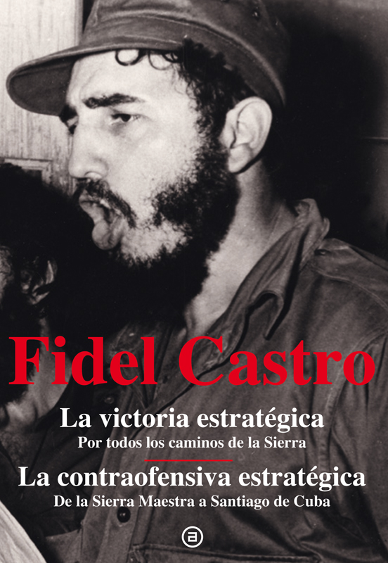 La victoria estratégica. La contraofensiva estratégica