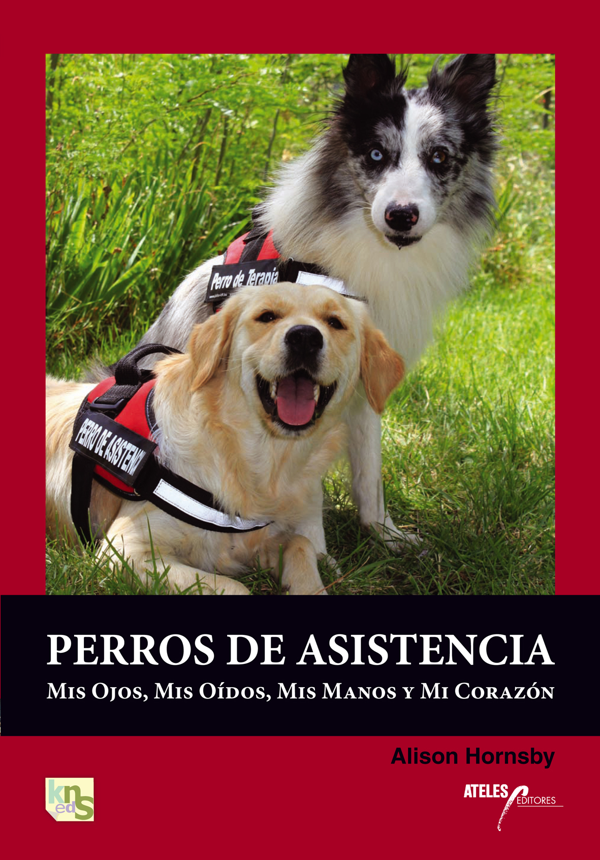 Perros de asistencia: mis ojos, mis oídos, mis manos y mi corazón