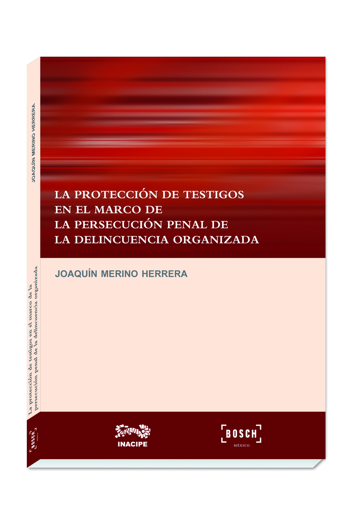 La protección de testigos en el marco de la persecución penal de la delincuencia organizada