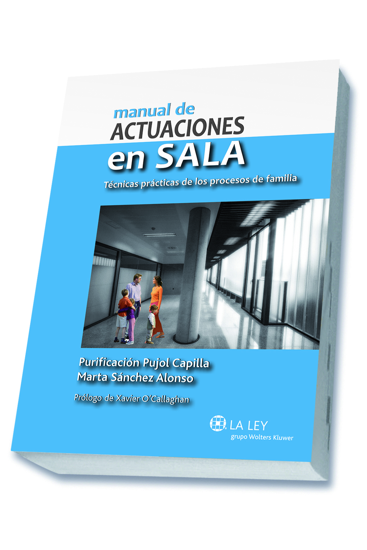 Manual de actuaciones en sala. Técnicas prácticas de los procesos de familia