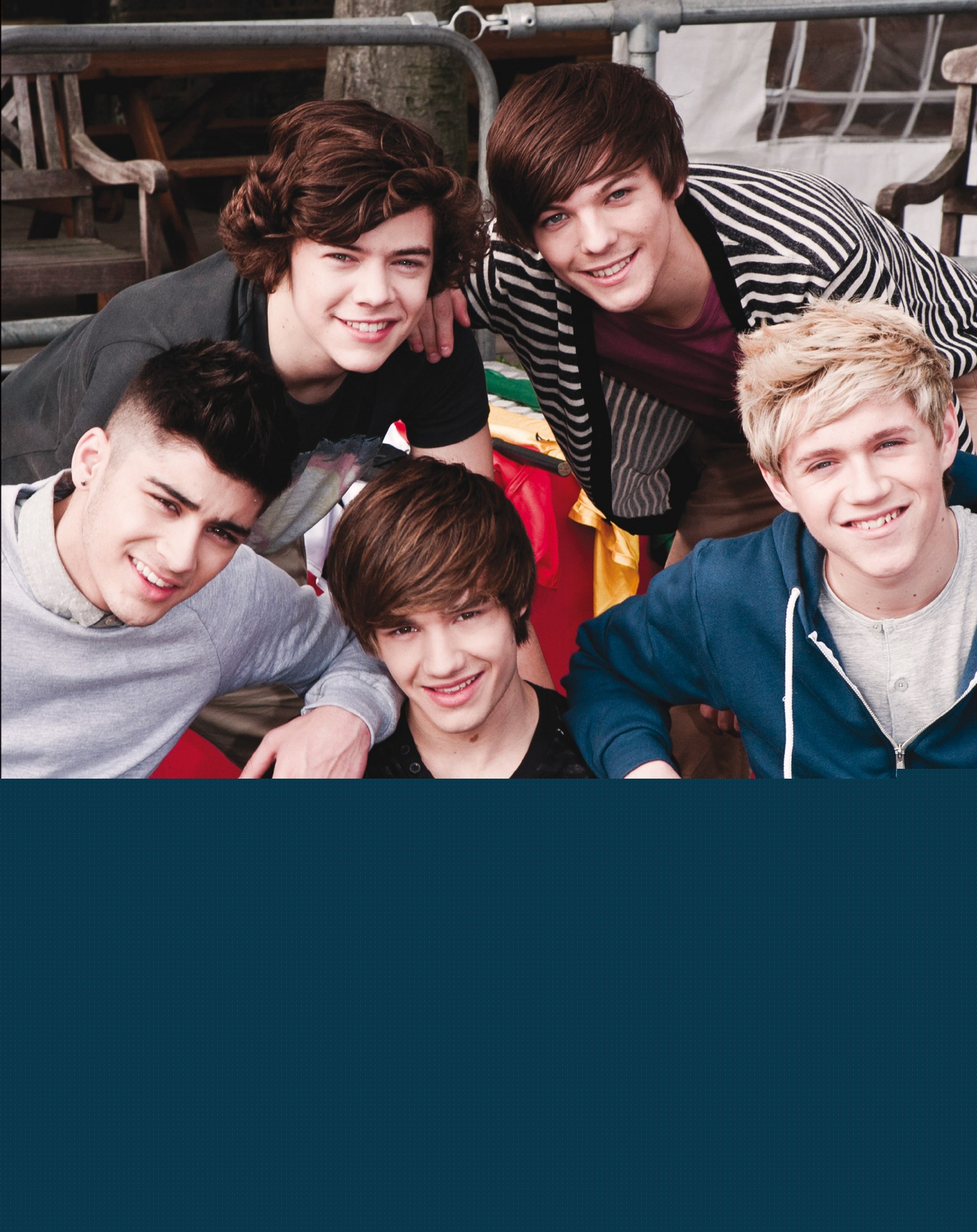 One Direction. Diario oficial