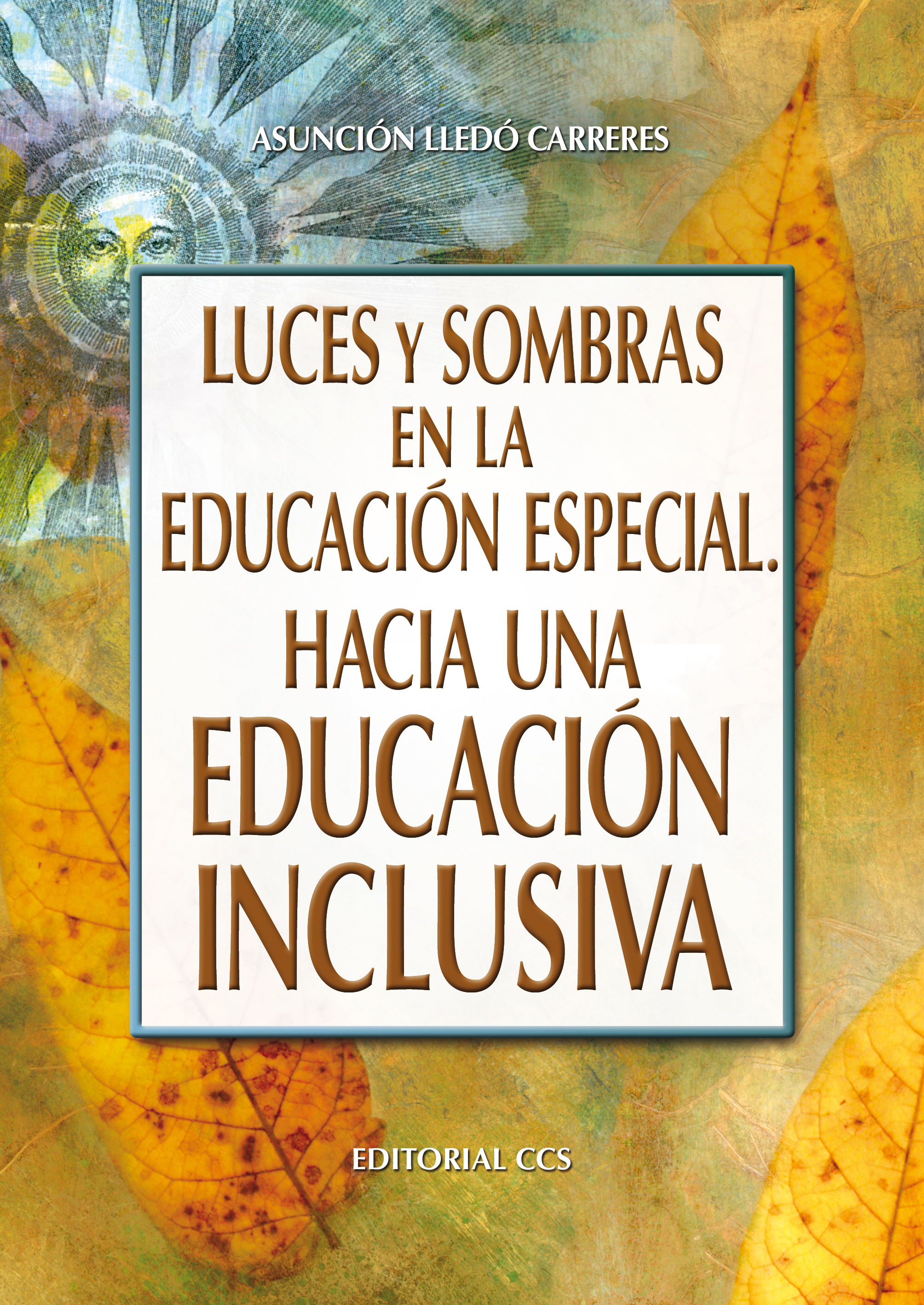 Luces y sombras de la Educación Especial. Hacia una educación inclusiva