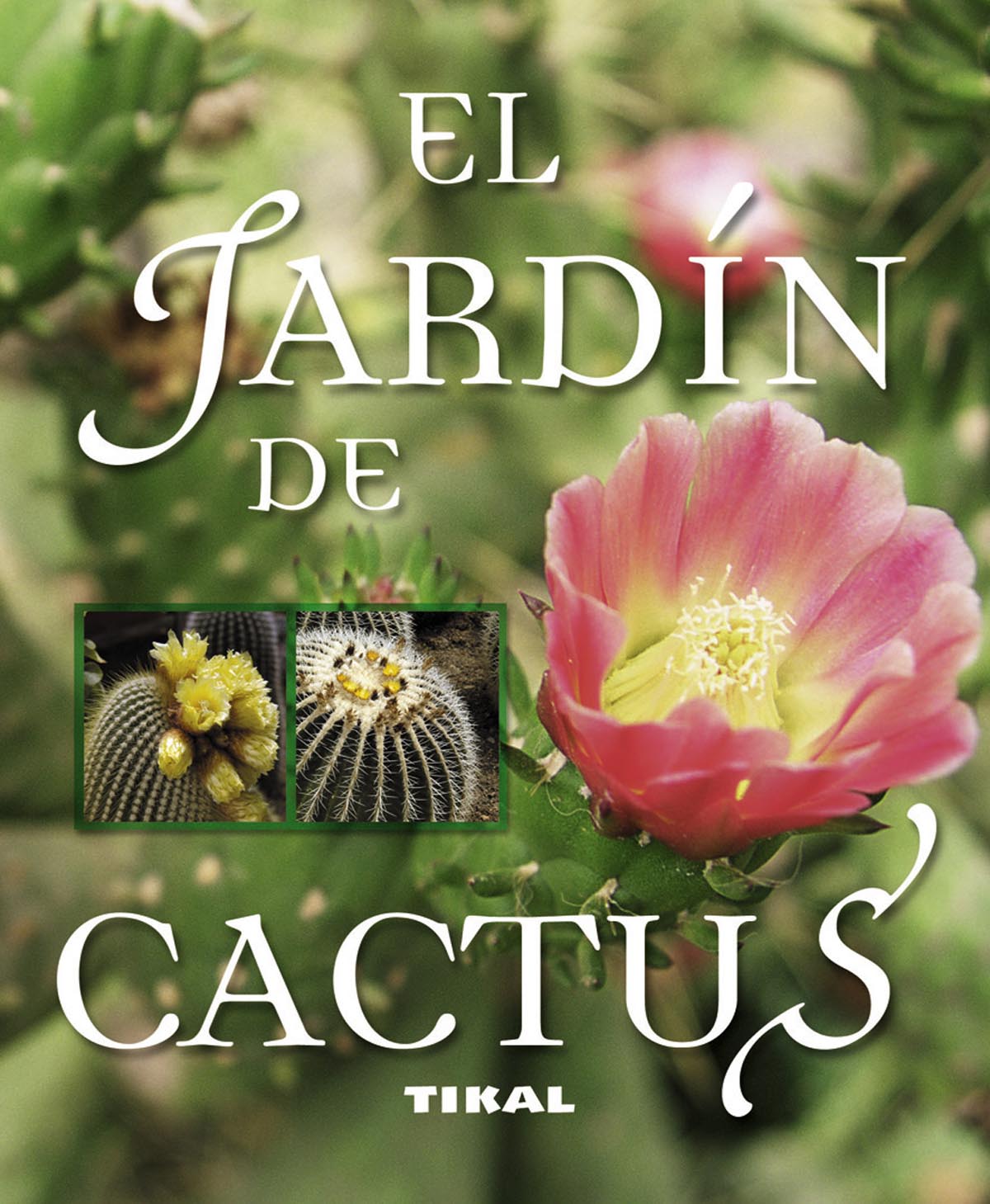 El jardín de cactus