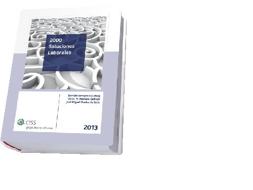 2000 soluciones laborales 2013
