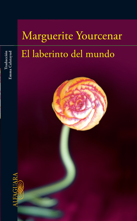 El laberinto del mundo