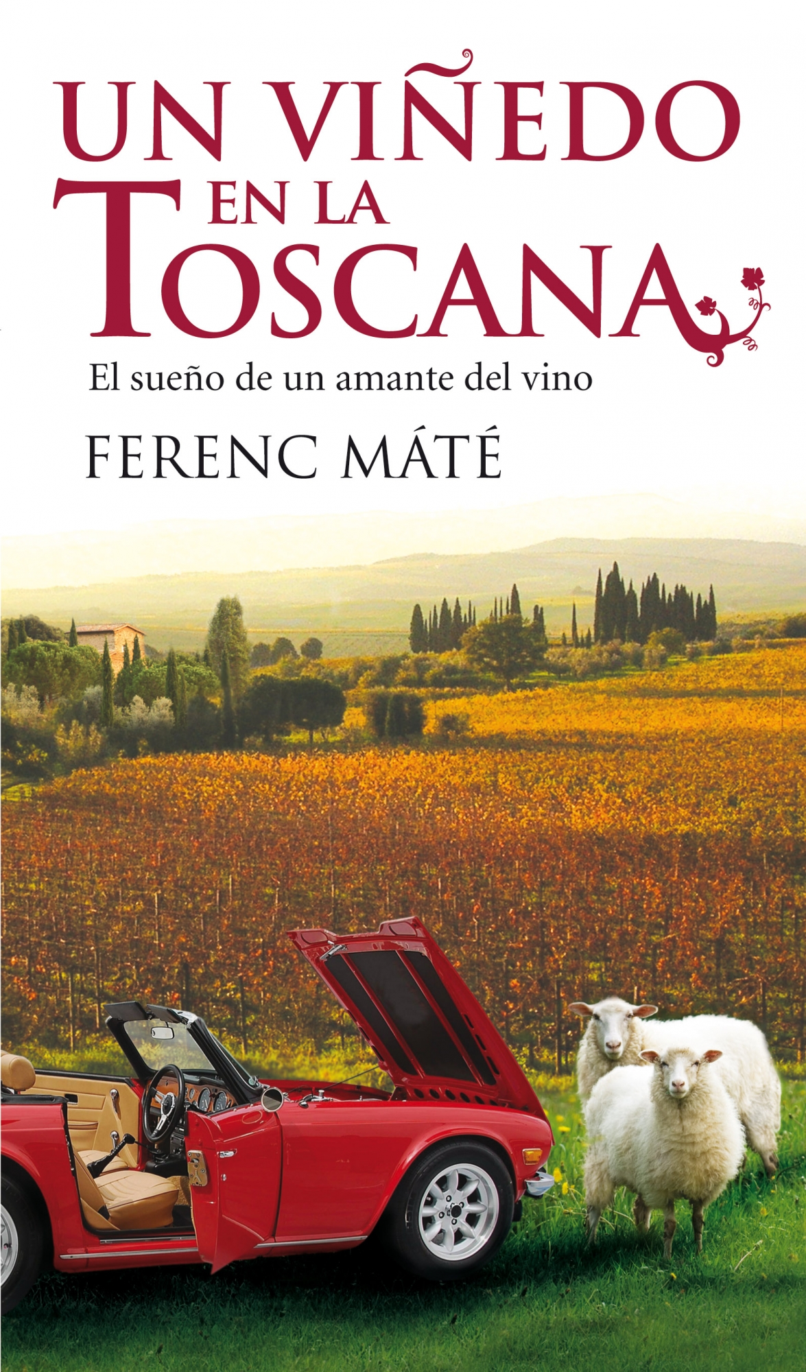 Un viñedo en la Toscana