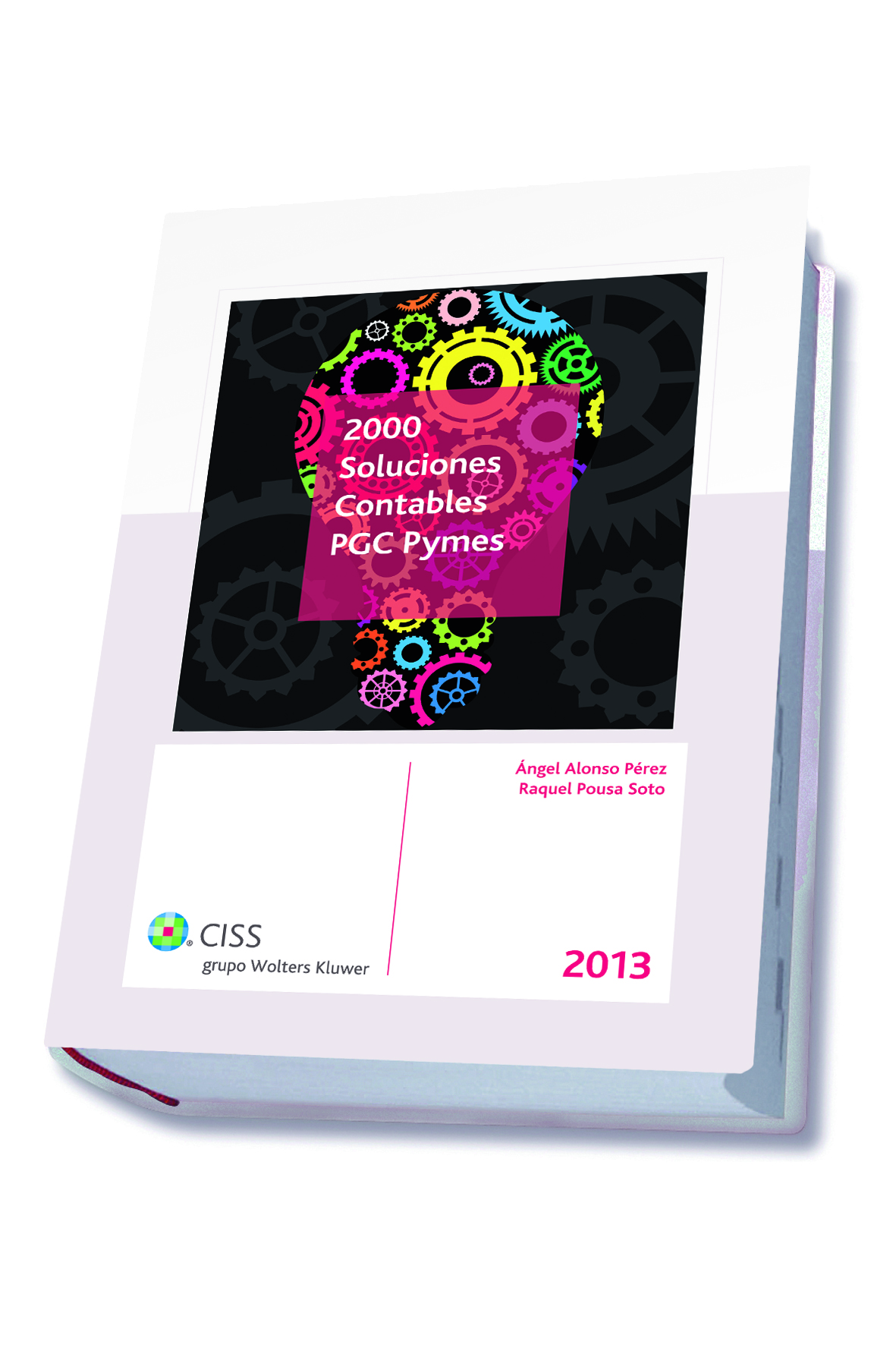 2000 soluciones contables PGC Pymes 2013