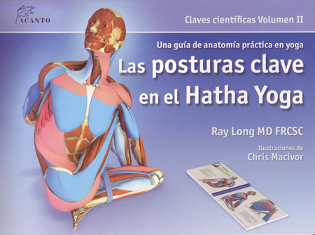 Las posturas clave en el hatha yoga