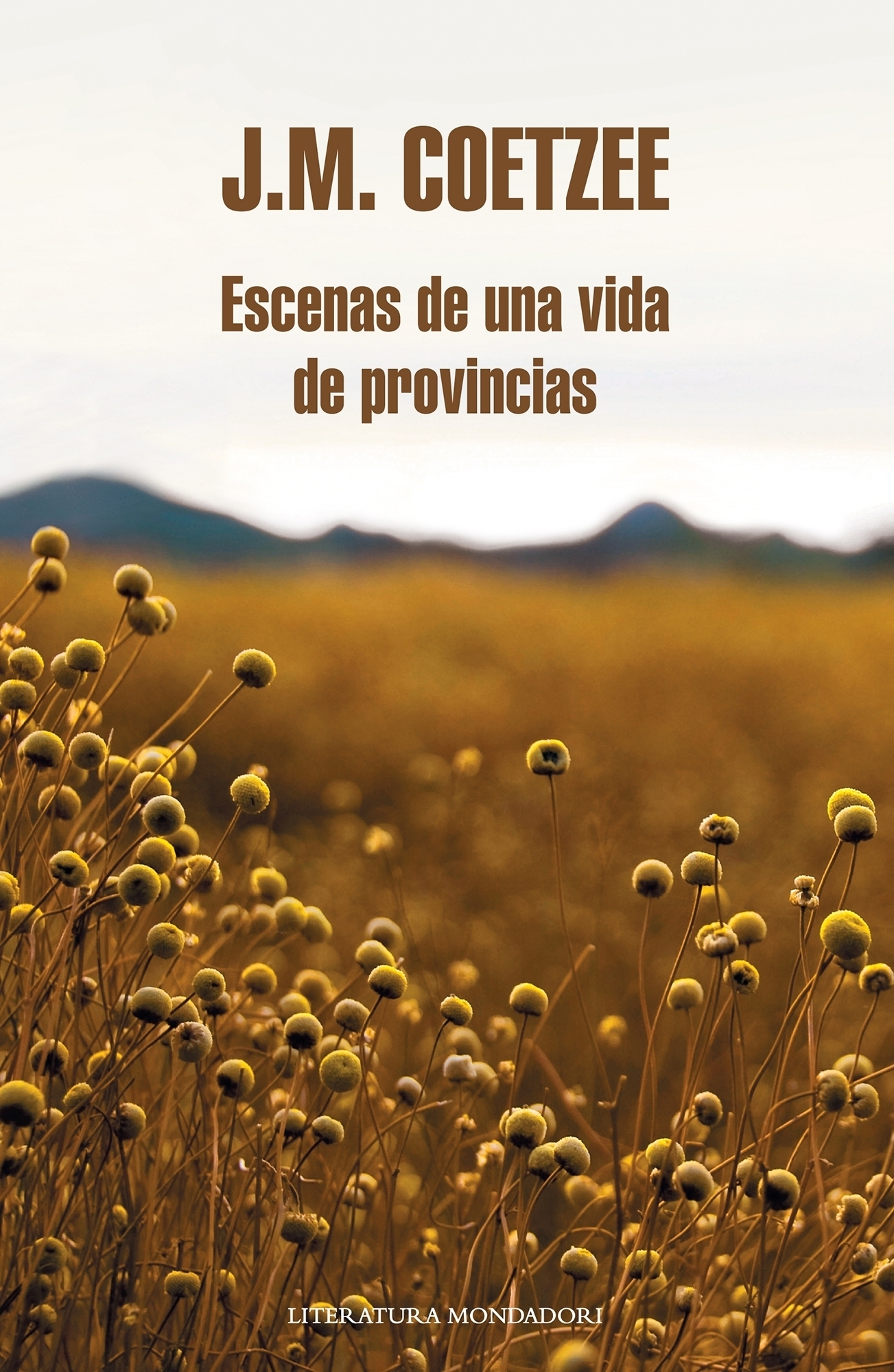 Escenas de una vida de provincias