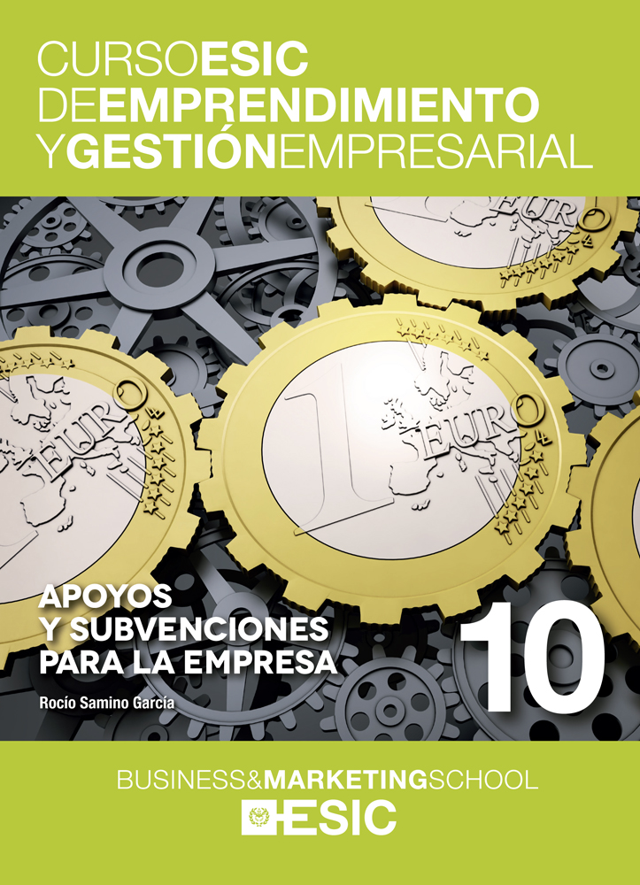 Apoyos y subvenciones para la empresa