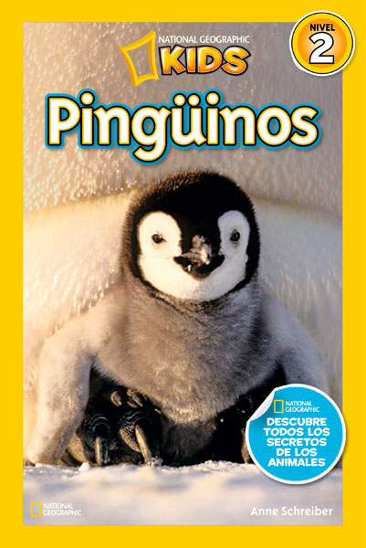 Pingüinos