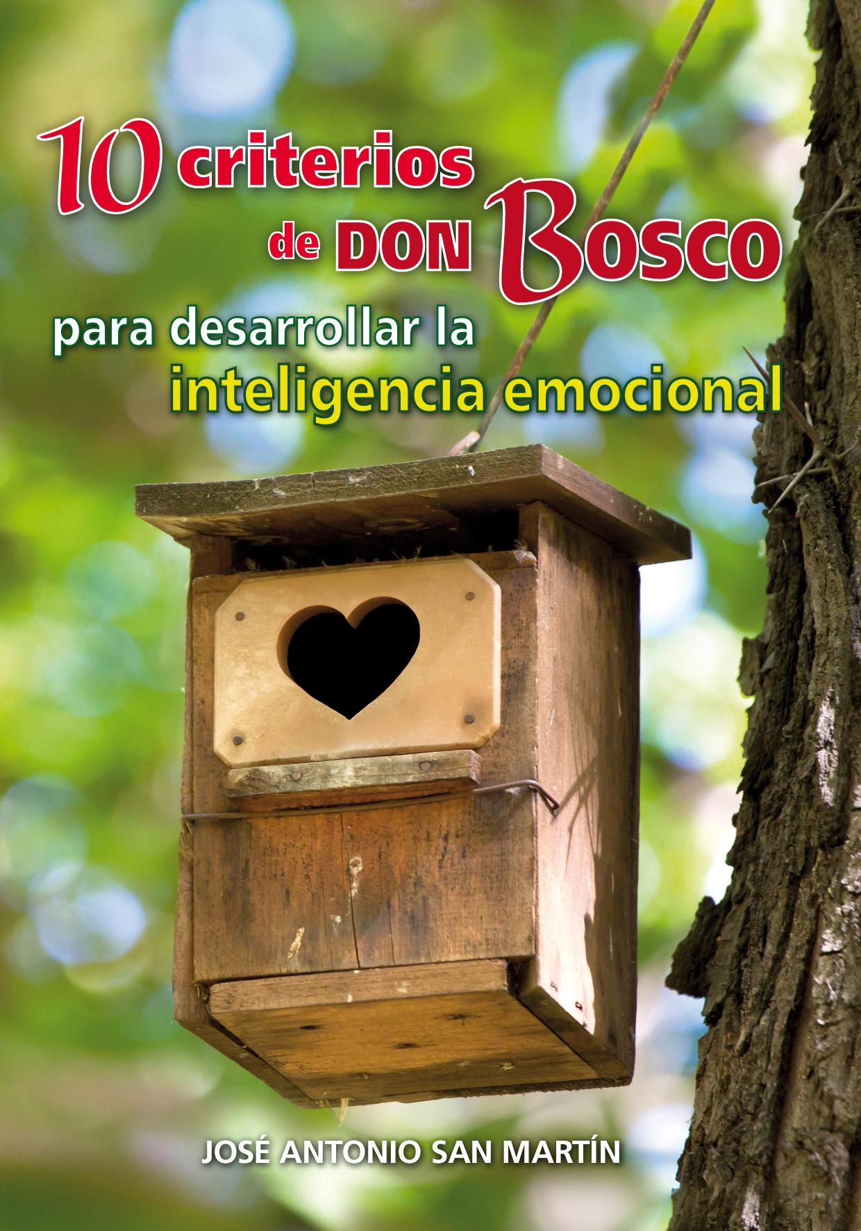 10 criterios de Don Bosco para desarrollar la inteligencia emocional