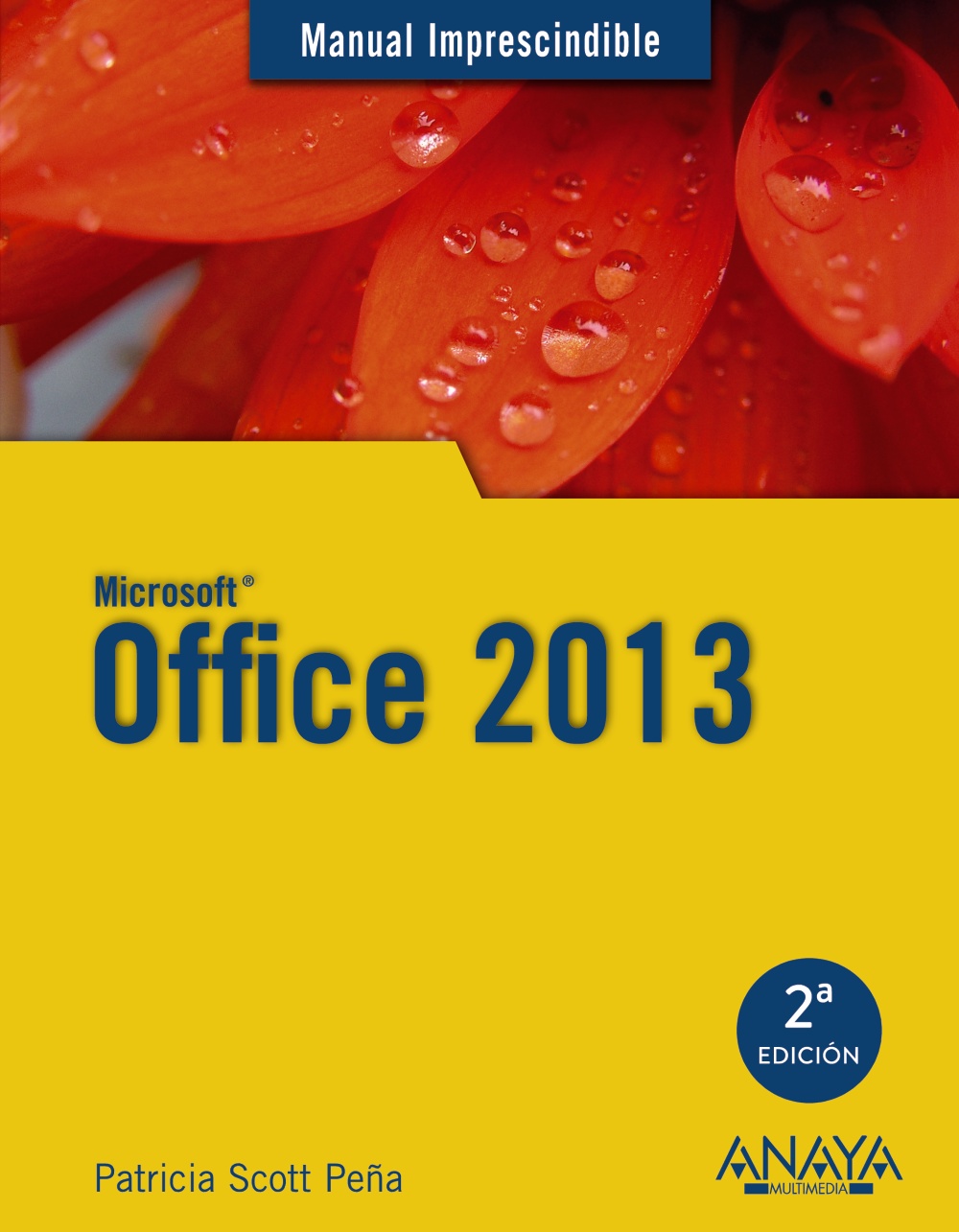 Office 2013