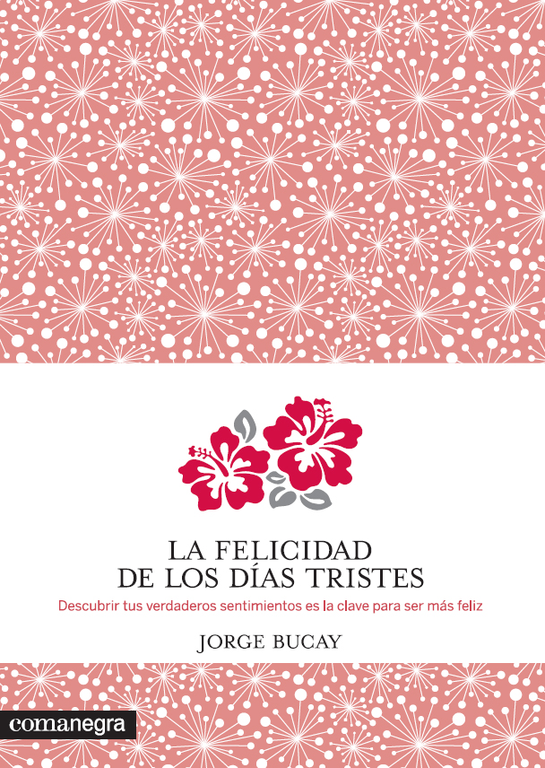 La felicidad de los días tristes