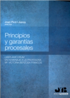 Principios y garantías procesales.