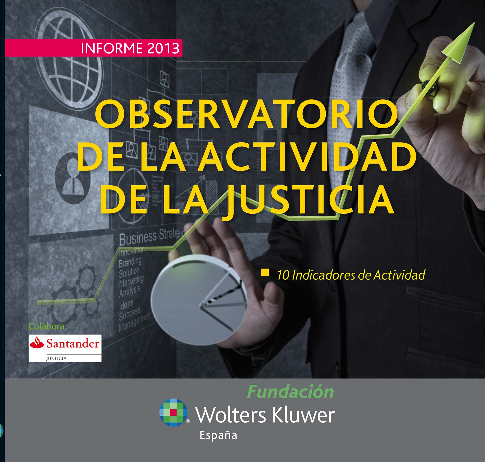Informe 2013 Observatorio de la Actividad de la Justicia