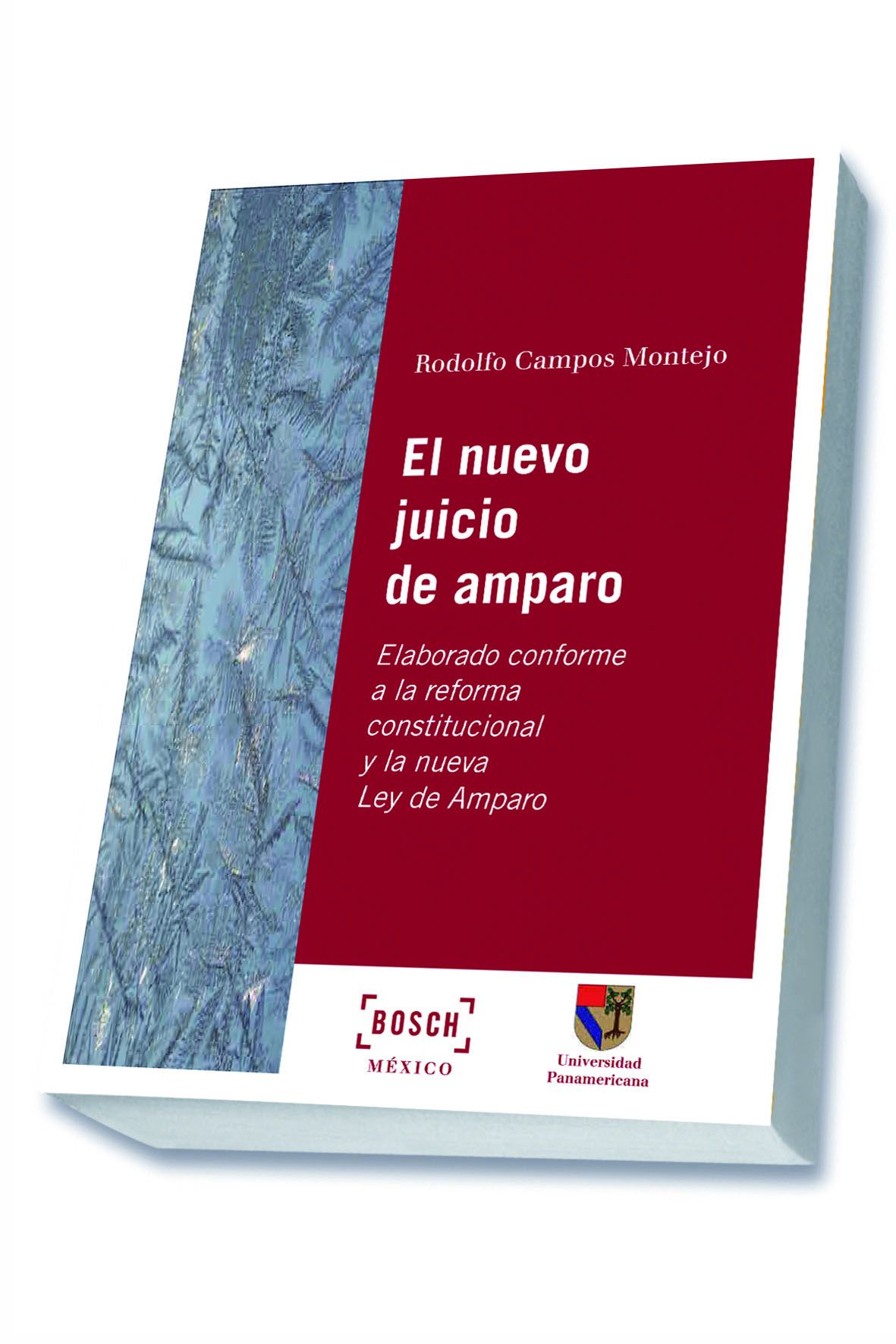 El nuevo juicio de amparo