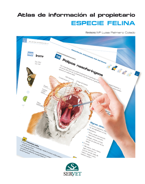 Especie felina. Atlas de información al propietario