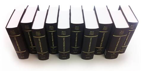 Práctica procesal civil (23.ª edición)