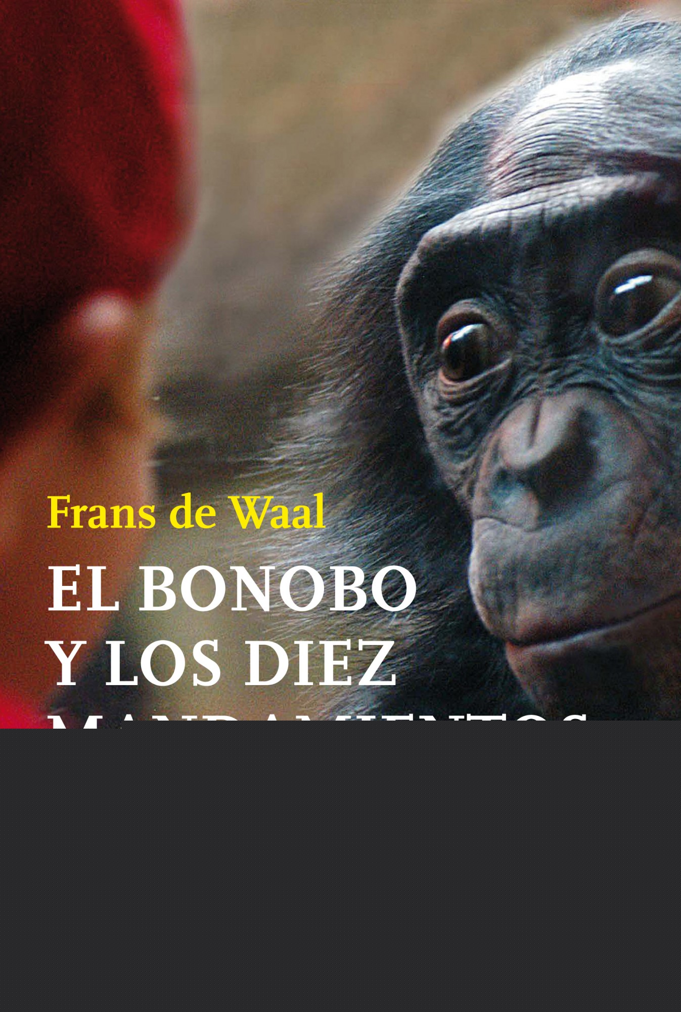 El bonobo y los diez mandamientos