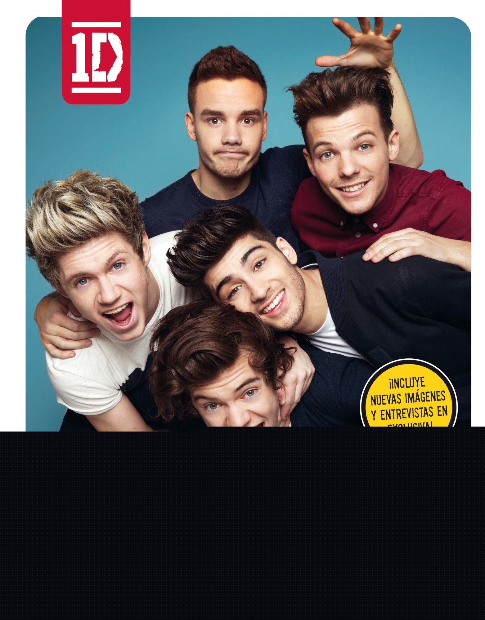 One Direction. Diario oficial 2014