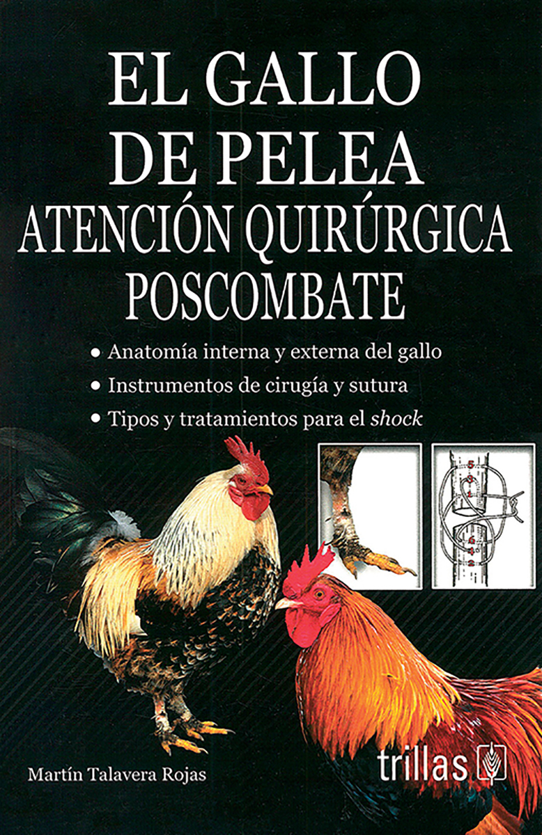 El gallo de pelea