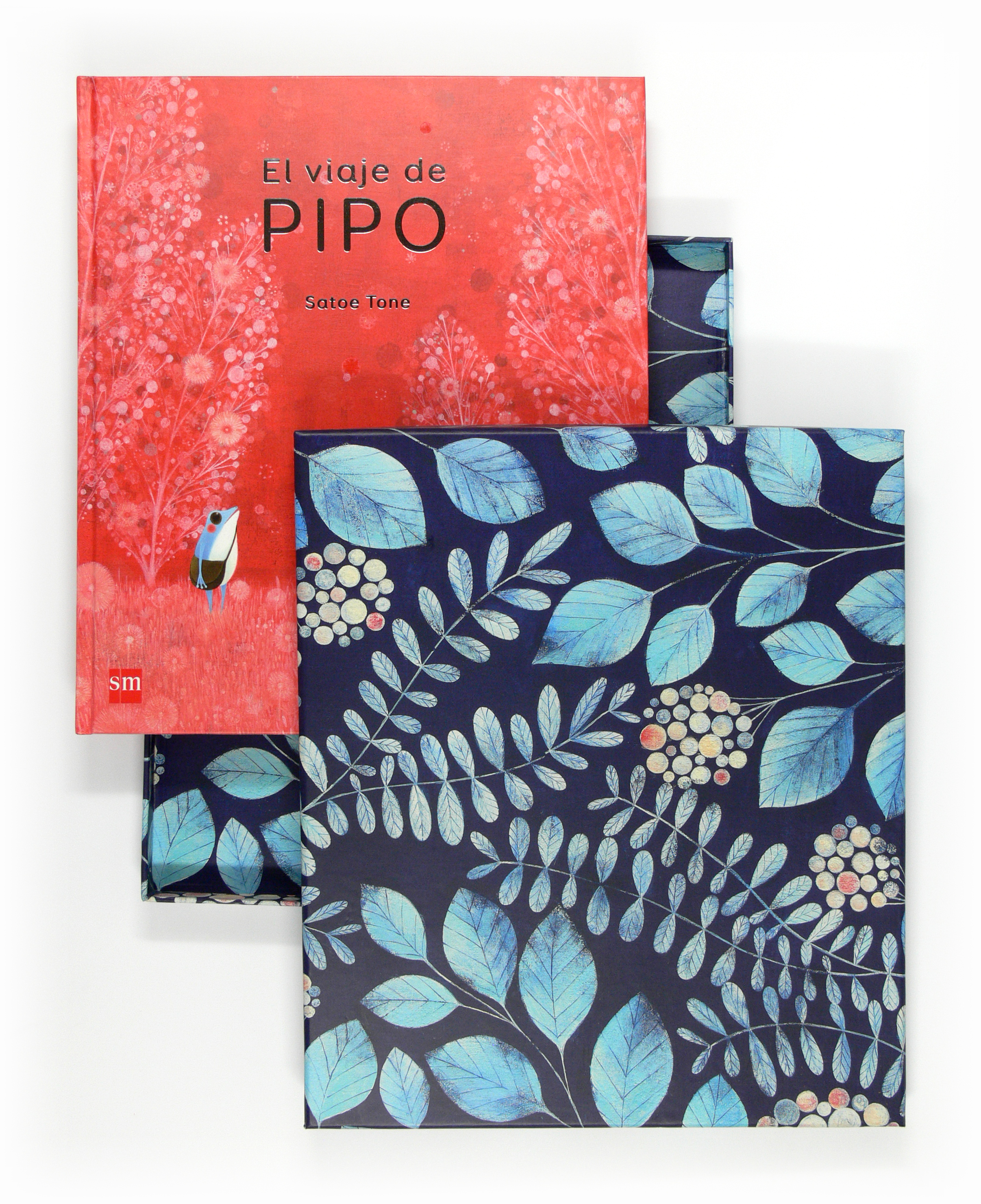 El viaje de Pipo. Especial