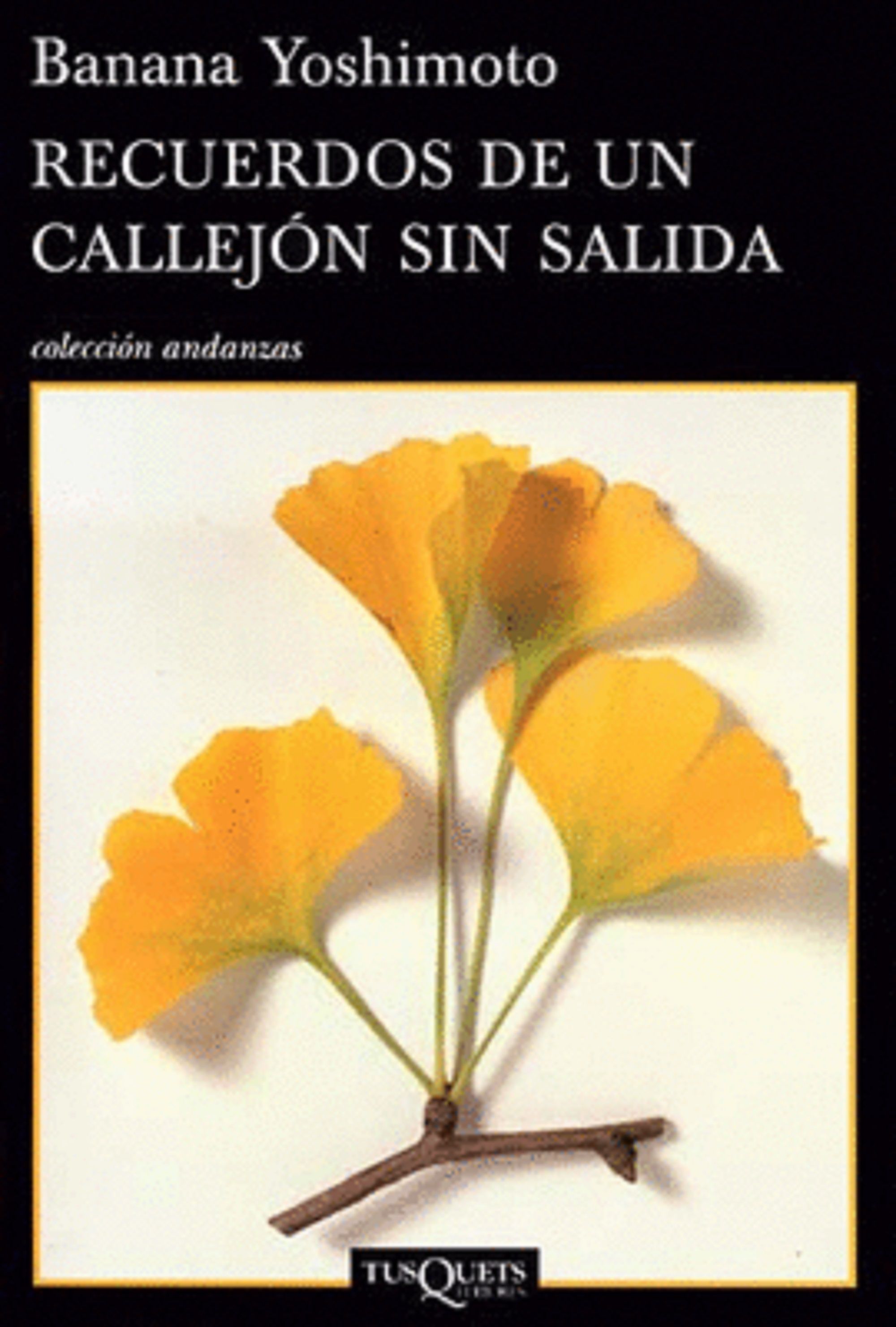 Recuerdos de un callejón sin salida