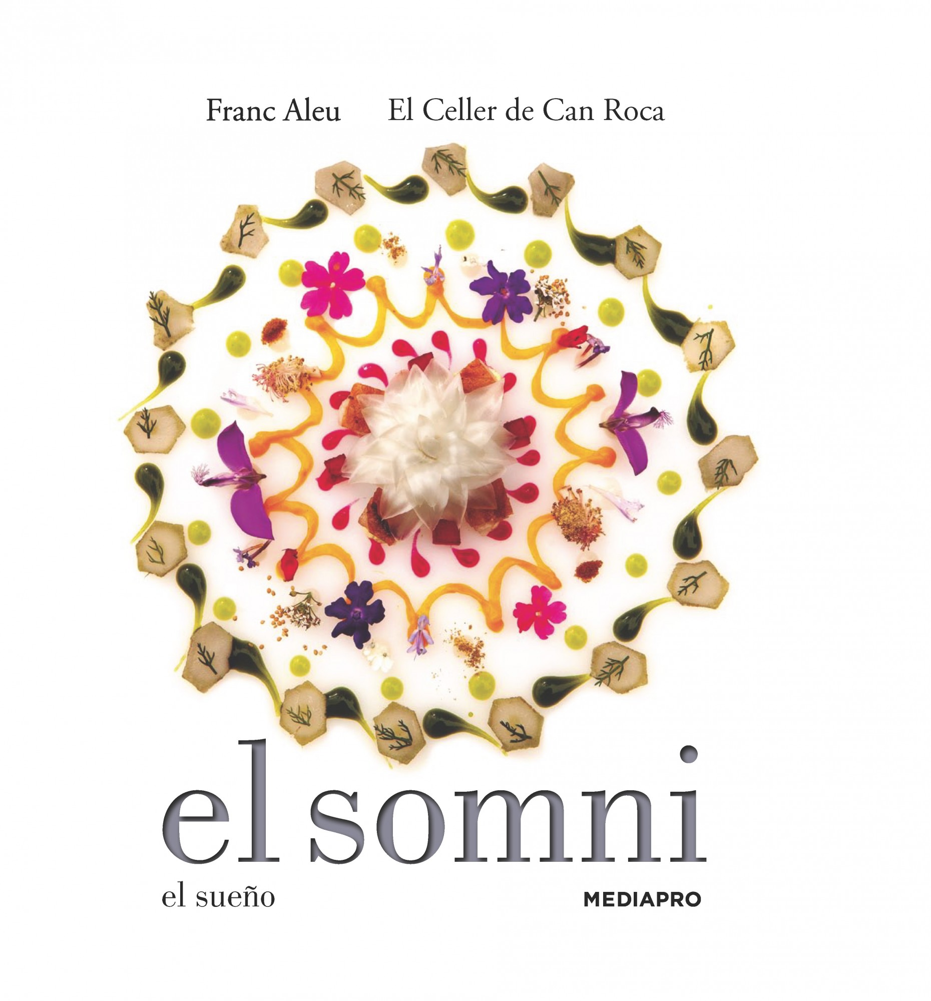 EL SOMNI. El sueño