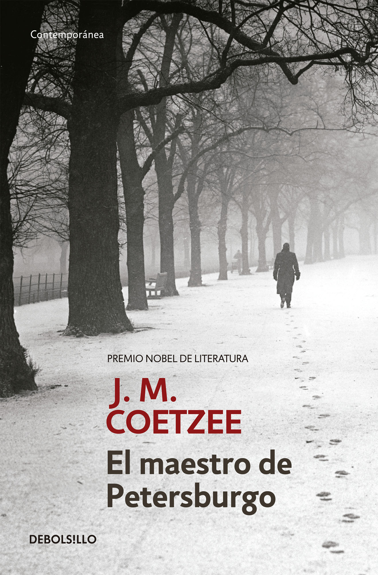 El maestro de Petersburgo