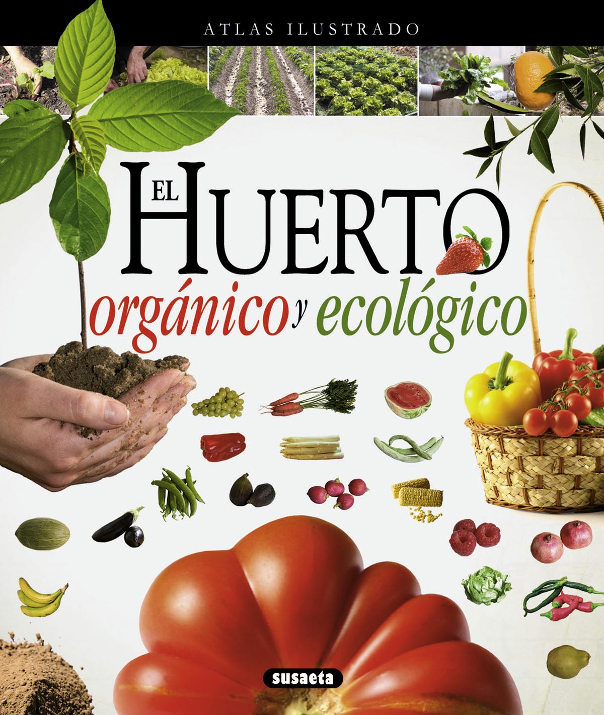El huerto orgánico y ecológico