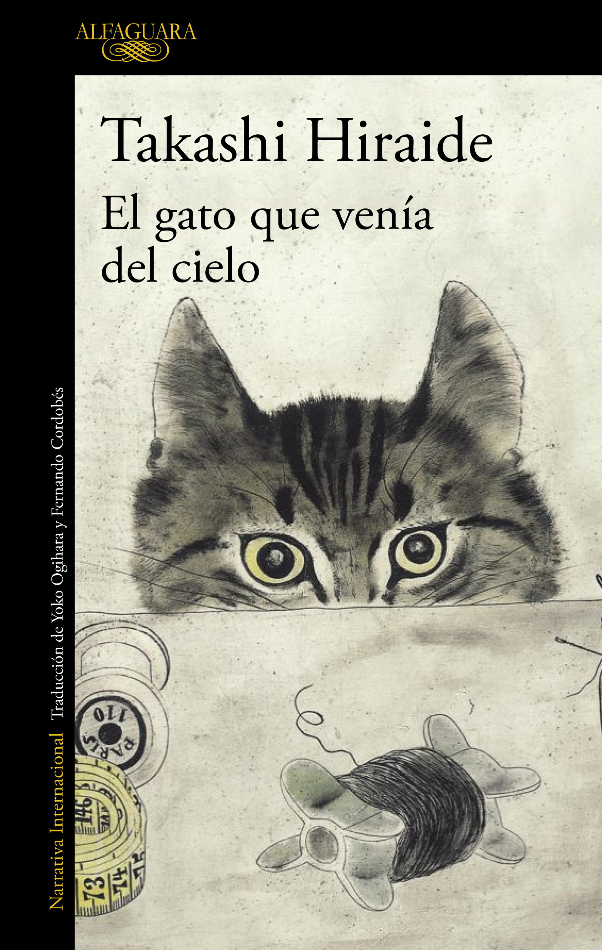El gato que venía del cielo