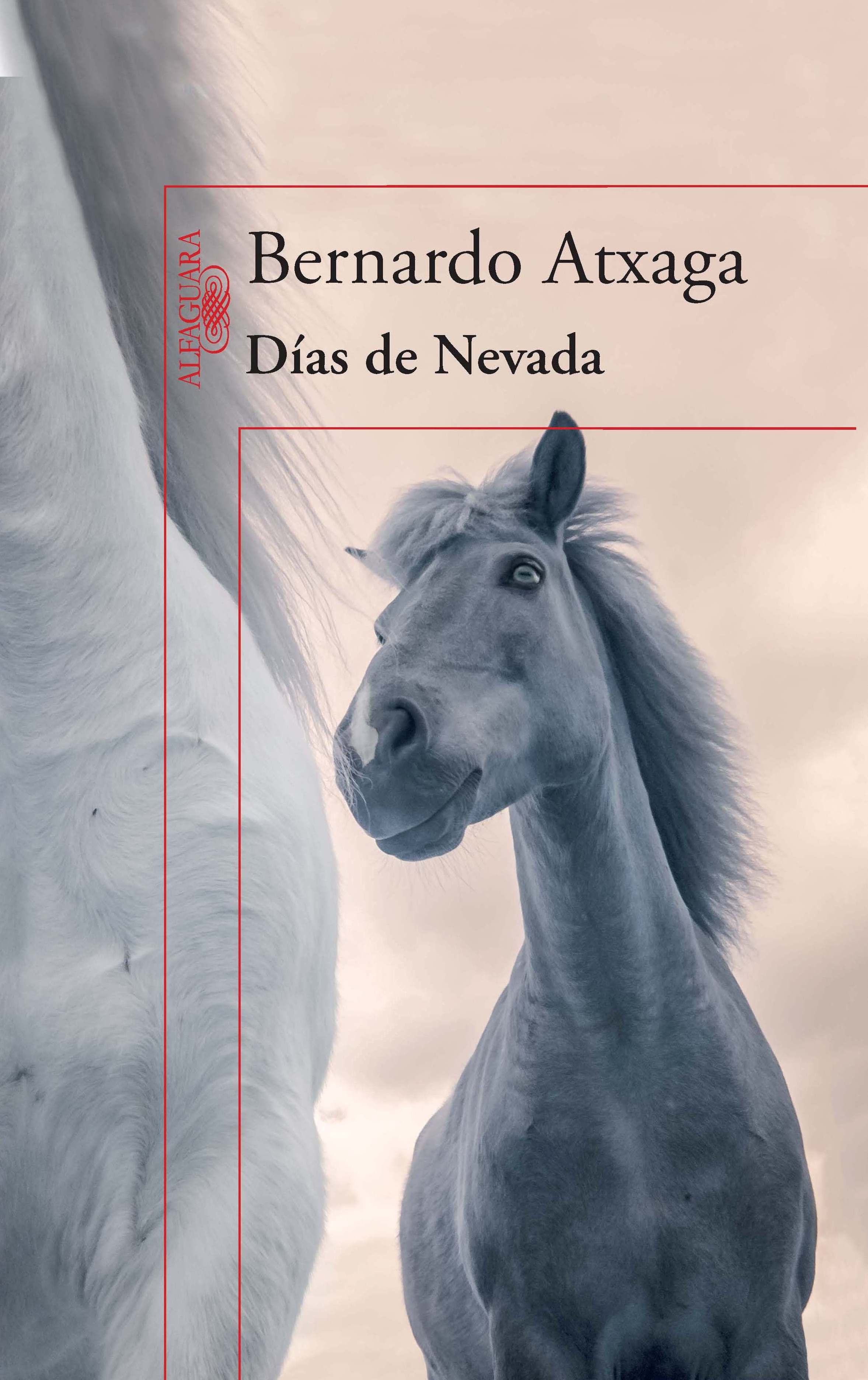 Días de nevada