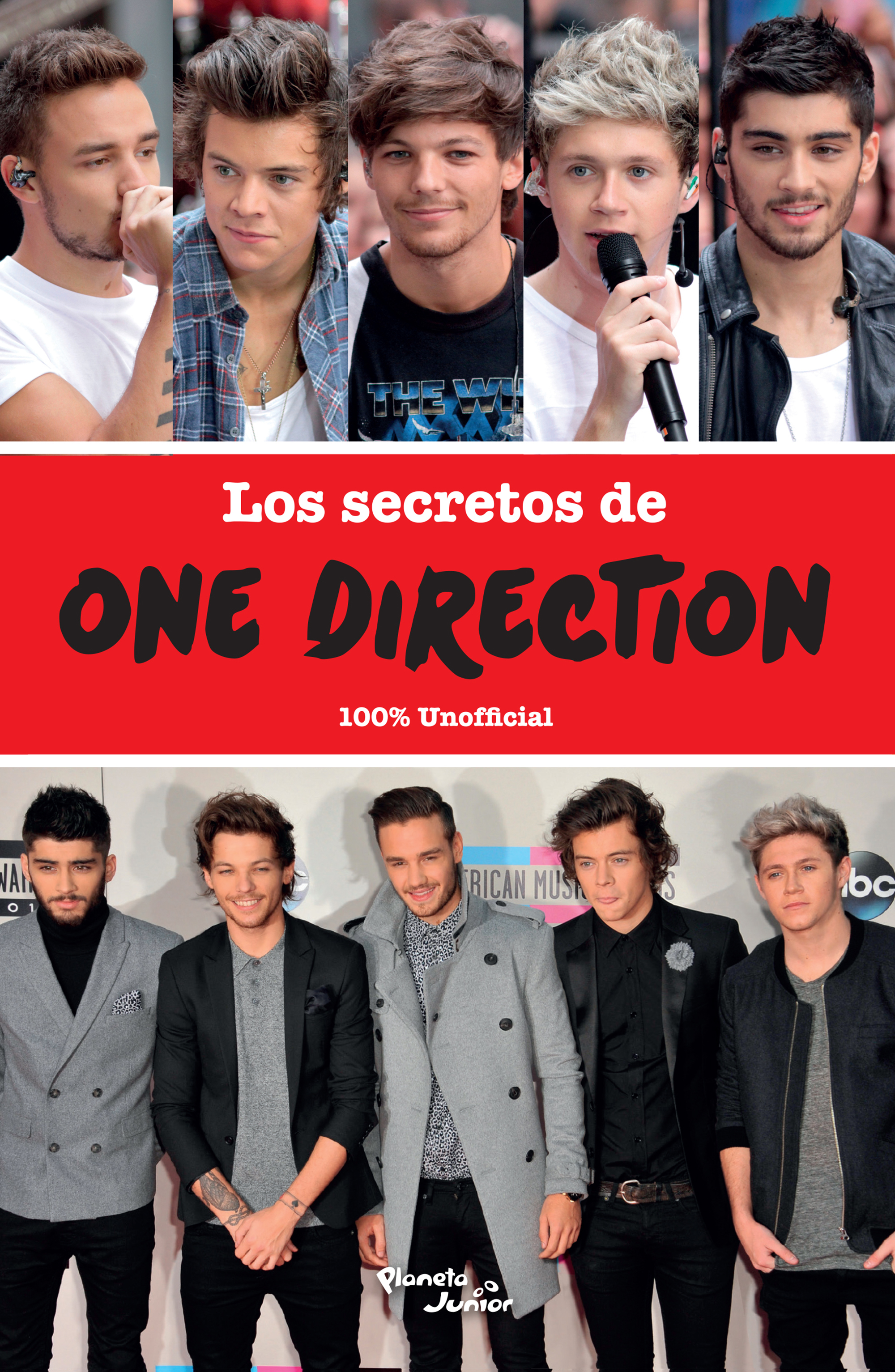 Los secretos de One Direction