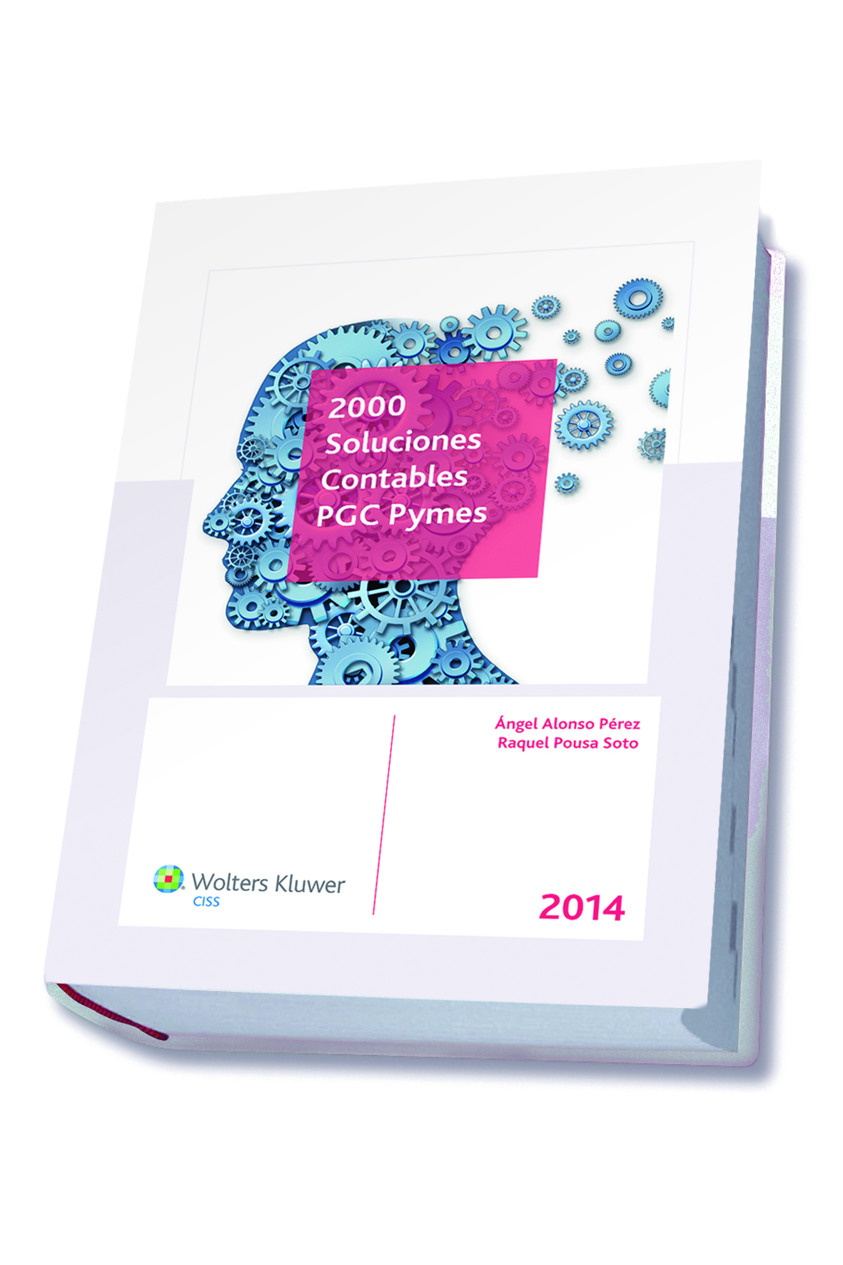 2000 soluciones contables PGC Pymes 2014