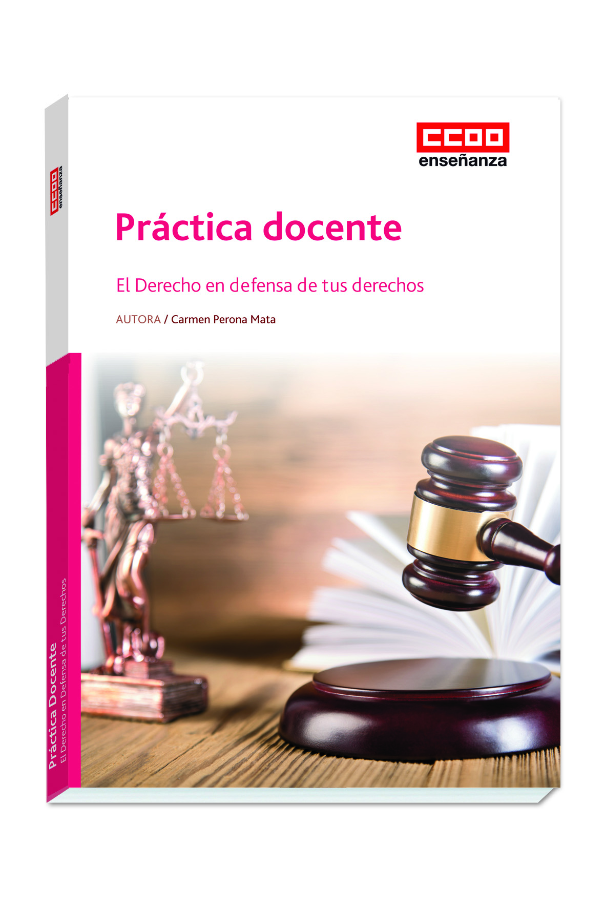 Práctica docente