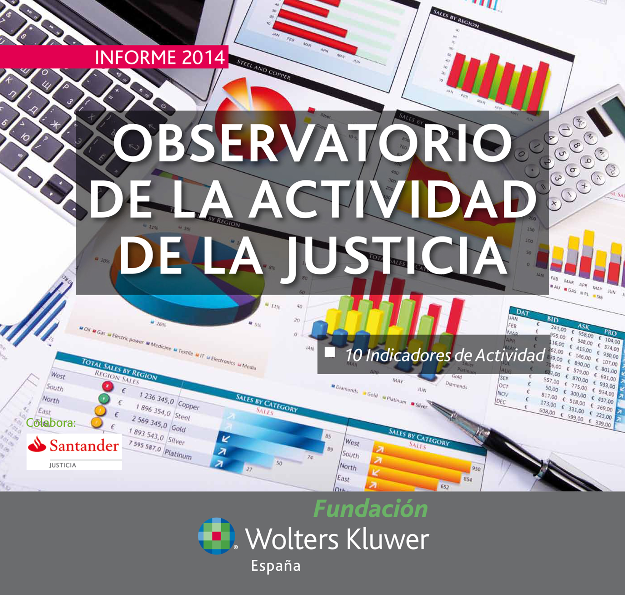 Informe 2014 Observatorio de la Actividad de la Justicia