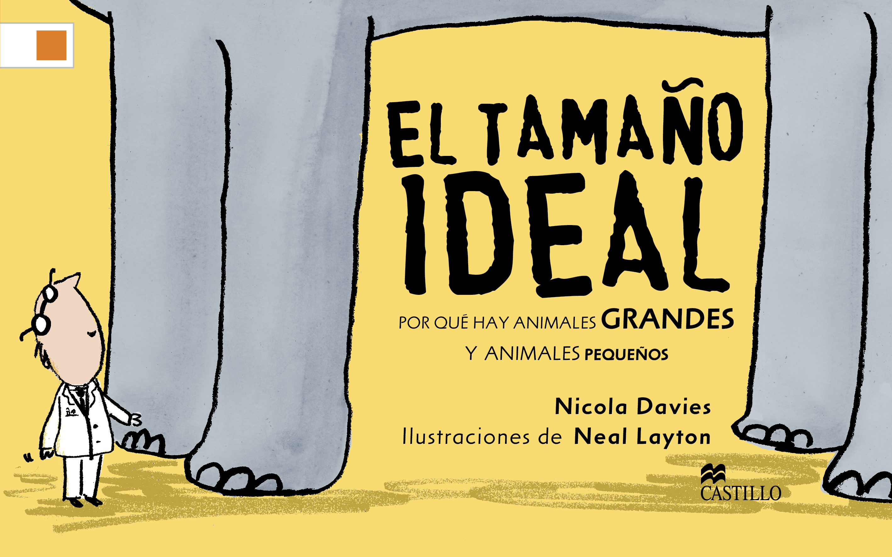 El tamaño ideal